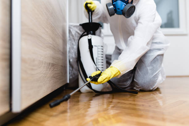 Best Pest Removal Services  in Webb City, MO