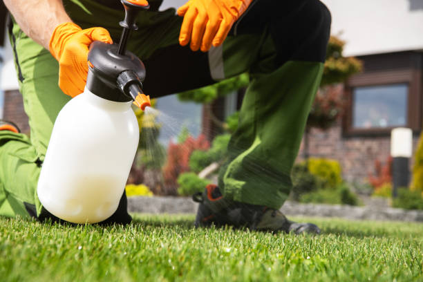 Insect Control in Webb City, MO