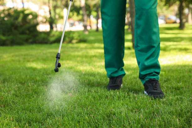 Pest Control Cost in Webb City, MO