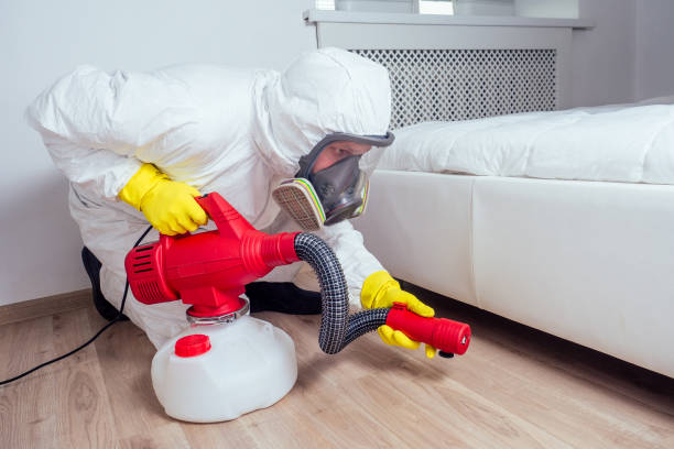 Best Best Pest Control Companies  in Webb City, MO