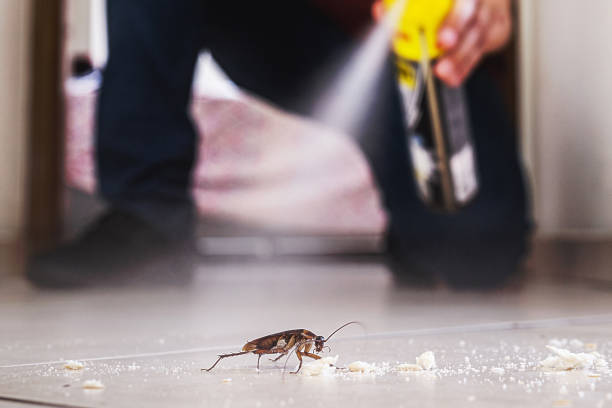 Pest Control for Restaurants in Webb City, MO