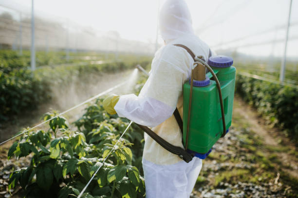 Best Emergency Pest Control  in Webb City, MO